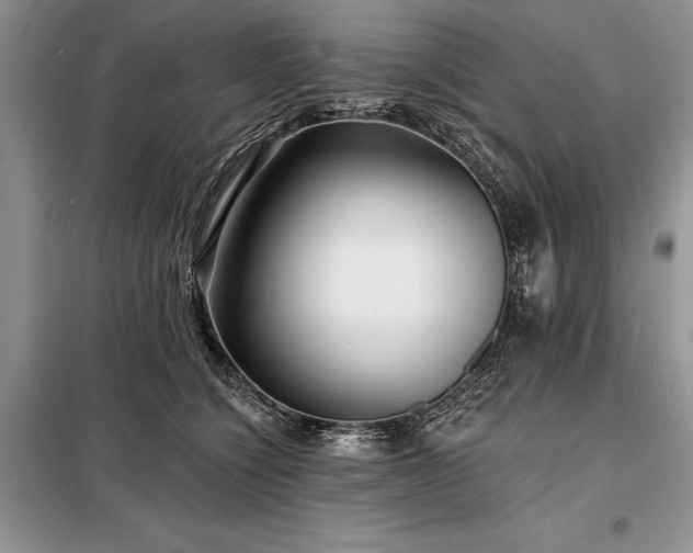 X0000098200564200805011149