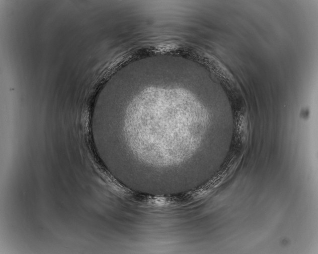 X0000098200565200805011149