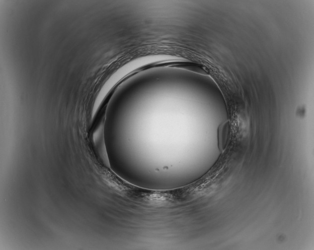 X0000098200566200805011149