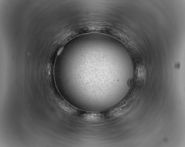 X0000098200567200805011149