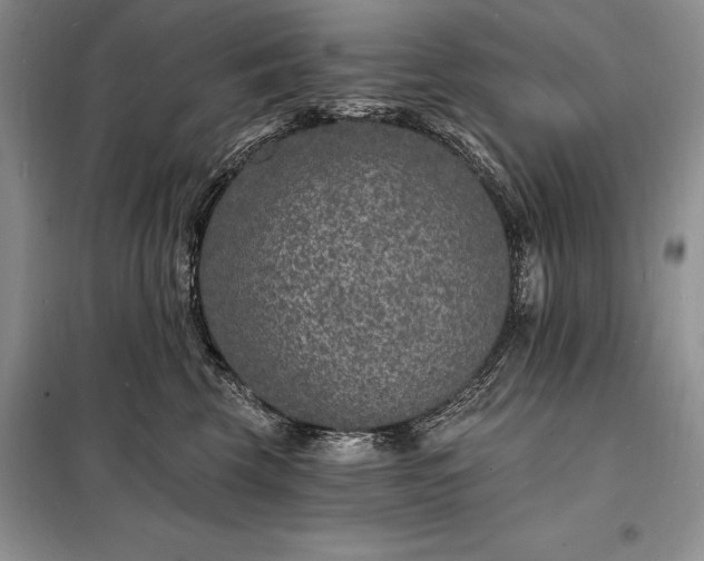 X0000098200569200805011149