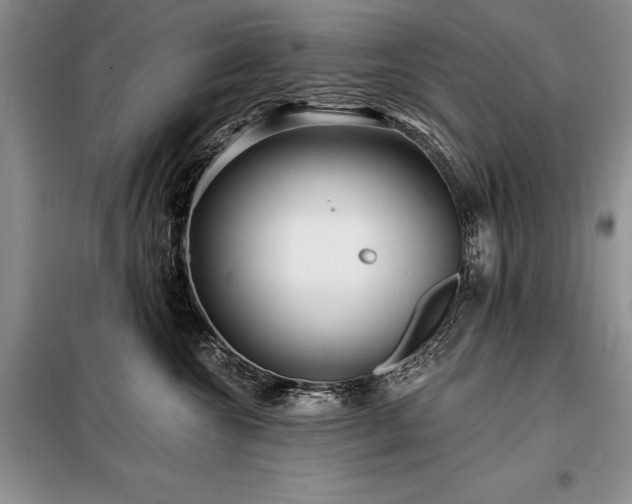 X0000098200572200805011149
