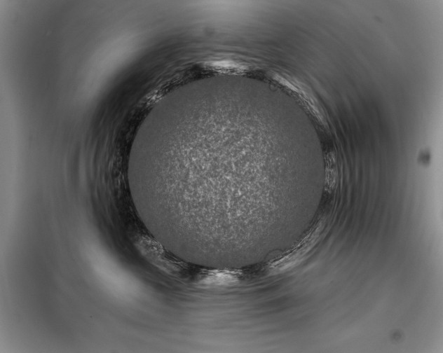 X0000098200573200805011149