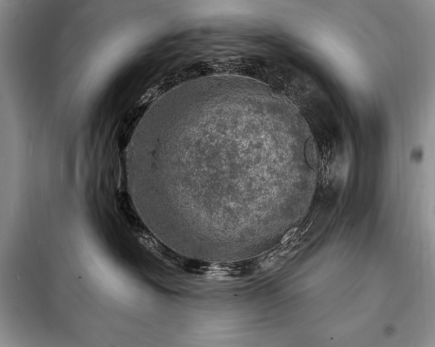X0000098200574200805011149
