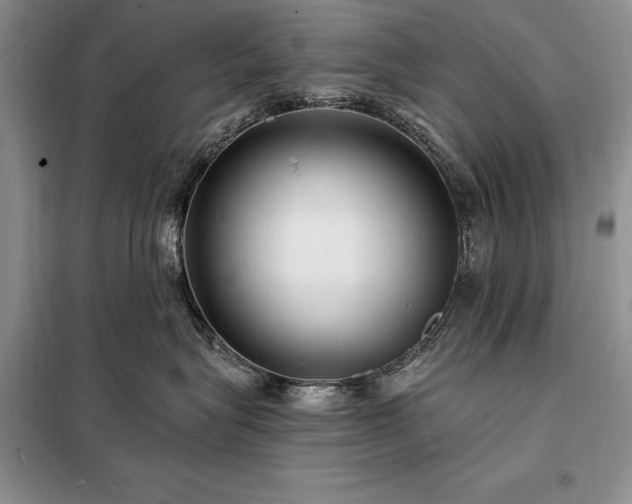 X0000098200575200805011149