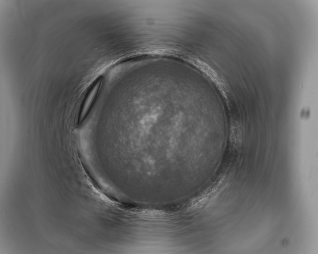 X0000098200577200805011149