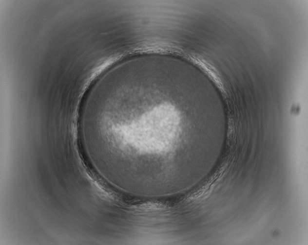 X0000098200578200805011149