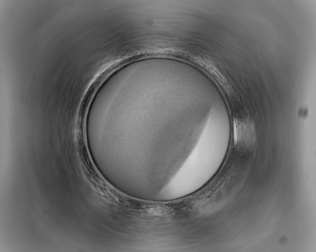 X0000098200579200805011149