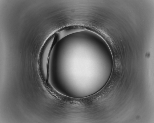 X0000098200580200805011149