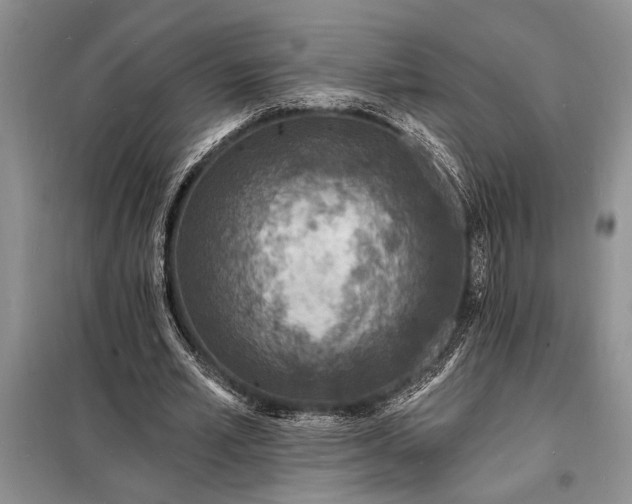 X0000098200581200805011149