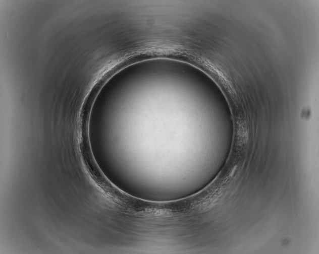 X0000098200582200805011149
