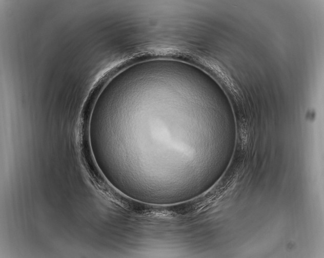 X0000098200583200805011149