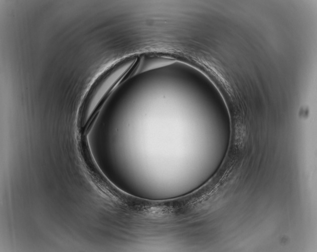 X0000098200584200805011149