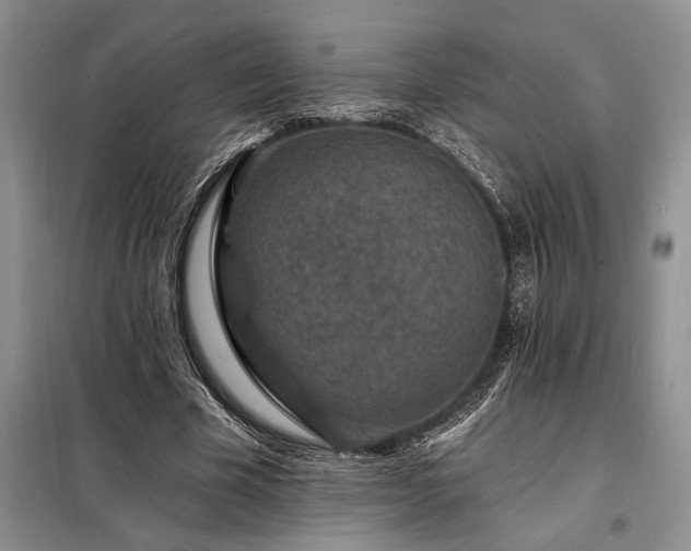 X0000098200585200805011149