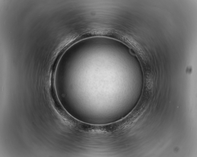 X0000098200586200805011149