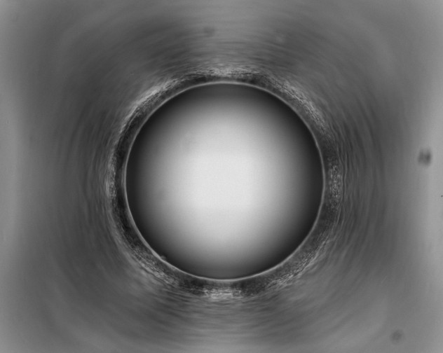 X0000098200587200805011149