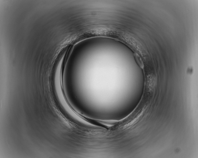 X0000098200589200805011149