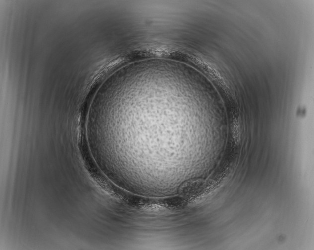 X0000098200594200805011149
