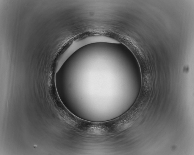 X0000098200596200805011149