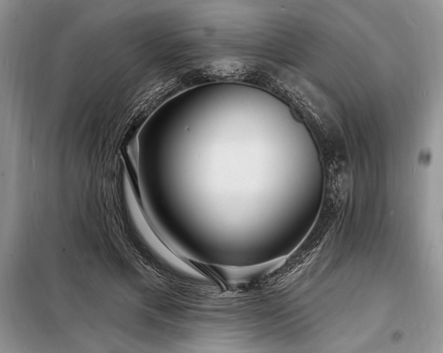 X0000098200597200805011149