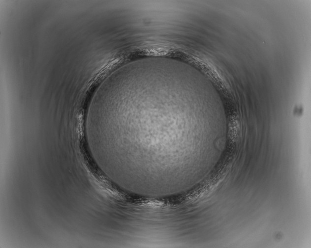 X0000098200598200805011148