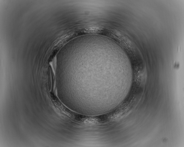 X0000098200599200805011148