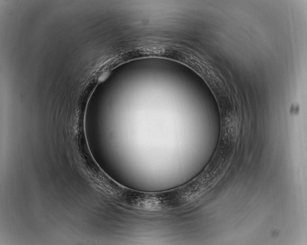 X0000098200600200805011148