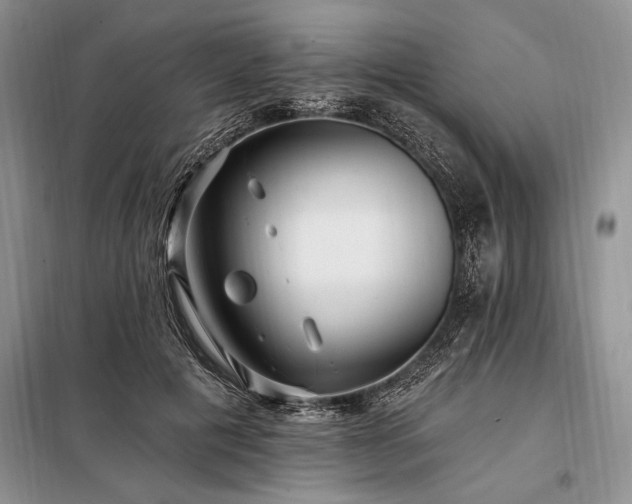 X0000098200601200805011148
