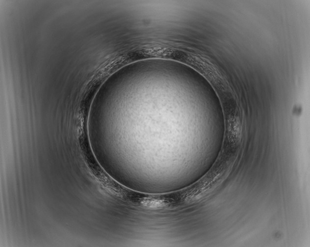 X0000098200602200805011148