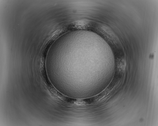 X0000098200603200805011148