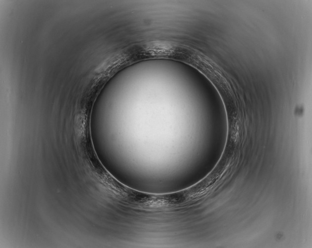 X0000098200604200805011148