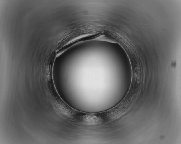 X0000098200605200805011148