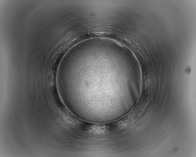 X0000098200606200805011148