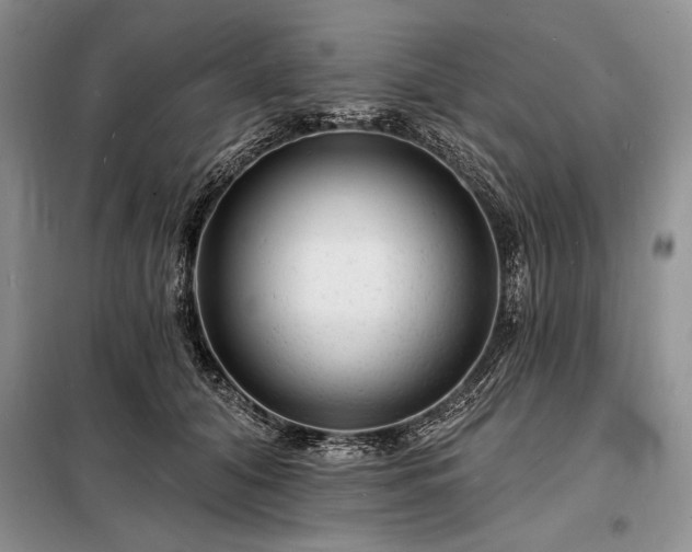 X0000098200608200805011148