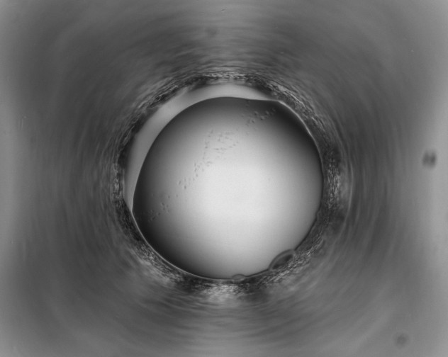 X0000098200609200805011148