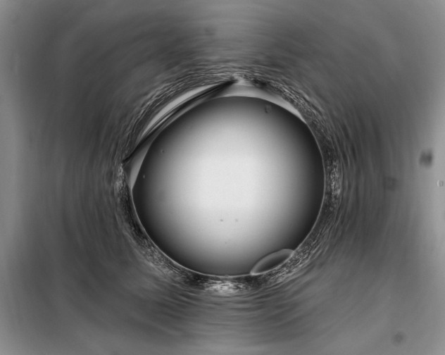 X0000098200611200805011148