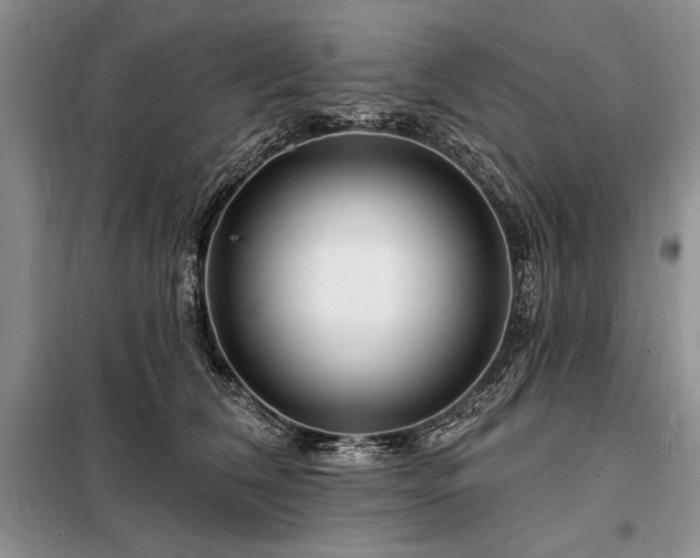 X0000098200612200805011148