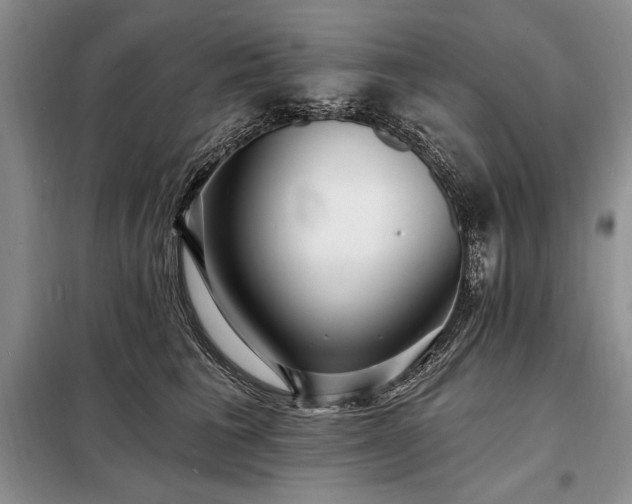 X0000098200613200805011148