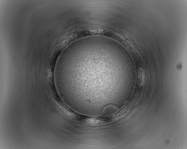 X0000098200614200805011148