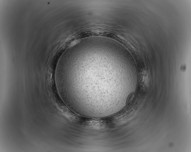 X0000098200615200805011148