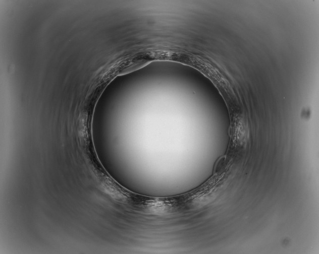 X0000098200616200805011148