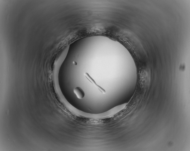 X0000098200617200805011148