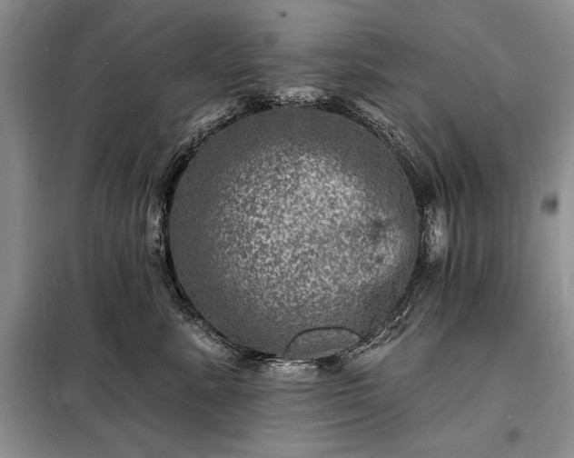 X0000098200619200805011148