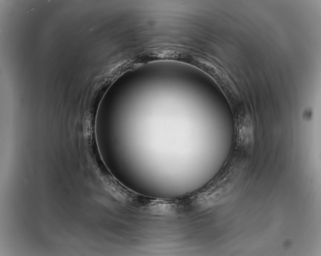 X0000098200620200805011148