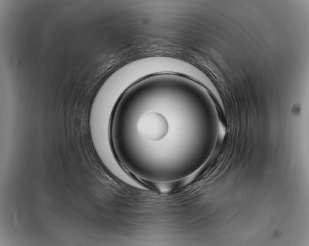 X0000098200621200805011148