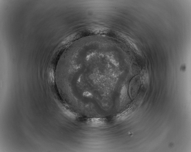 X0000098200622200805011148