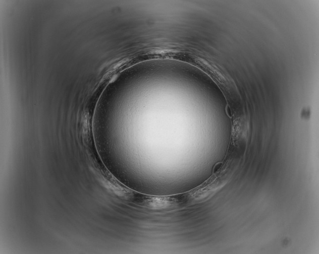 X0000098200623200805011148