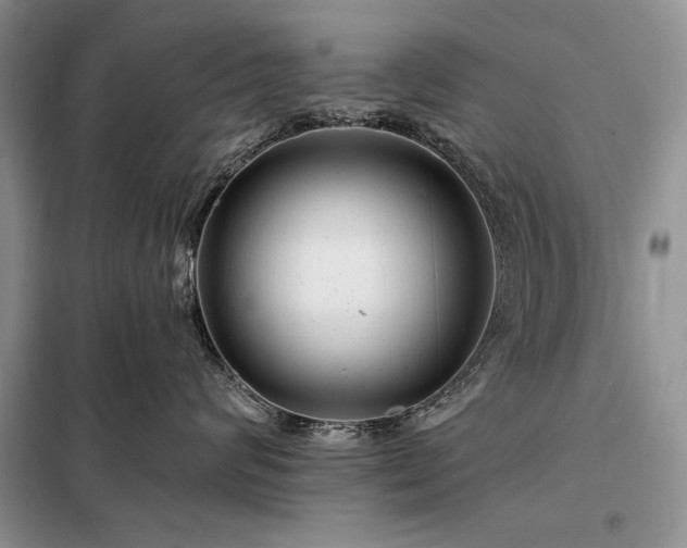 X0000098200624200805011148