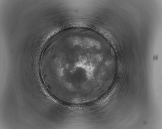 X0000098200625200805011147