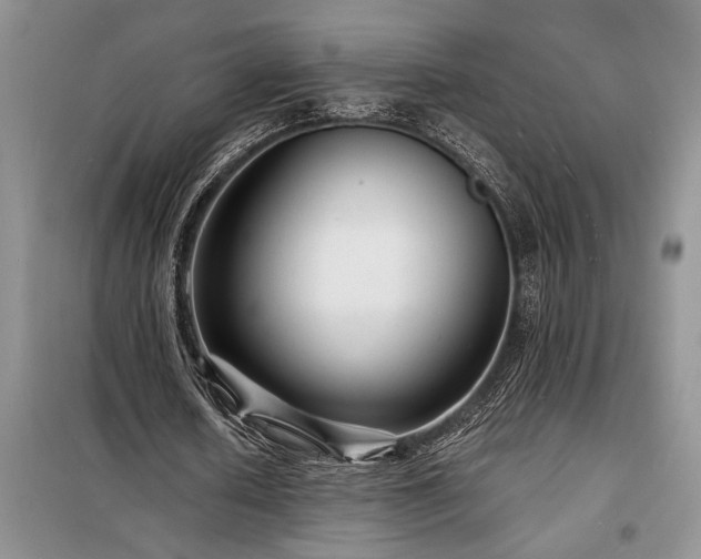 X0000098200626200805011147